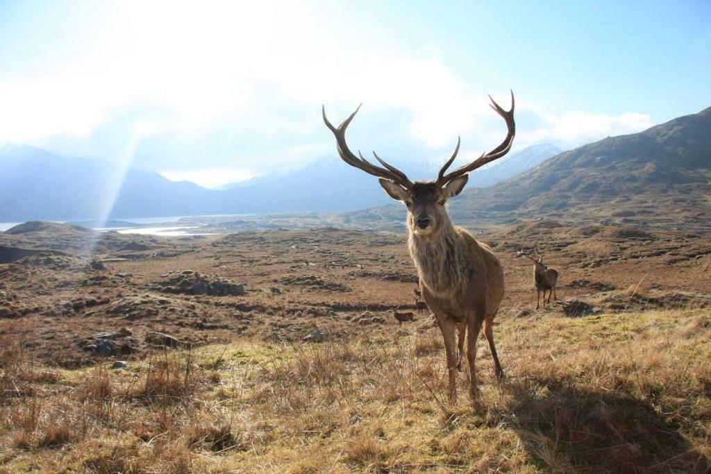 Glencroft A Fairytale Highland Cottage 애버펠디 외부 사진